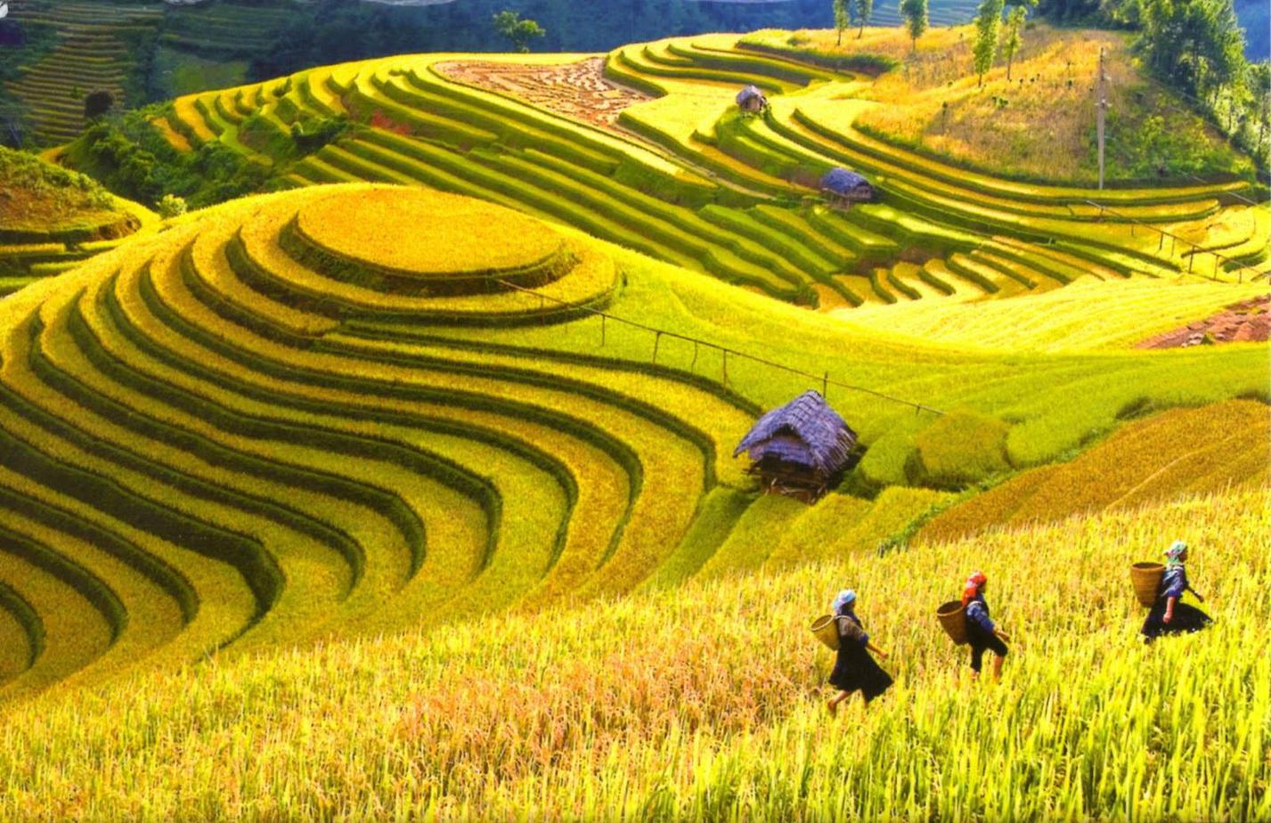 Phan Thiết nắng gió